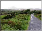 foto Parco nazionale di Connemara